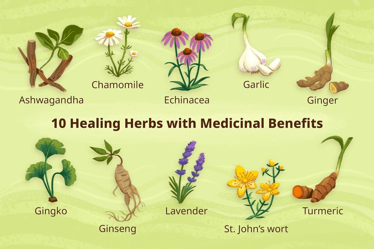 The Healing Power of Ayurvedic Herbs: Natures Pharmacy